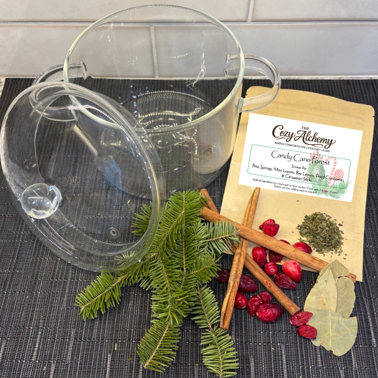 🎄 Candy Cane Forest