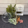Cozy Campfire simmer pot with pine sprigs, rosemary, sage, and cinnamon — The Cozy Alchemy